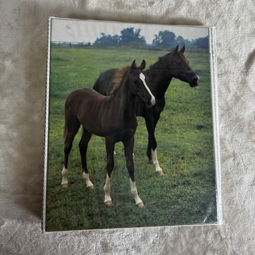 Vintage mead notebook binder - vintage,